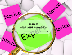 新手外贸若何成功搭建跨境电商平台